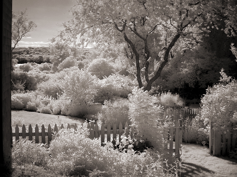 Terry's Garden 1 Narragansett, RI � Dave Hickey
